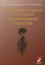 Функциональная анатомия эндокринной системы