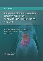 Клиническая анатомия переходных зон желудочно-кишечного тракта. Иллюстрированный авторский цикл лекций