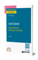 Анатомия: центральная нервная система