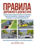 Правила дорожного движения на 2025 год. Действующая таблица штрафов и ответственность водителя