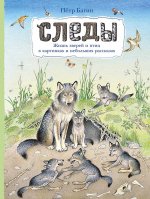 Приключение в дороге