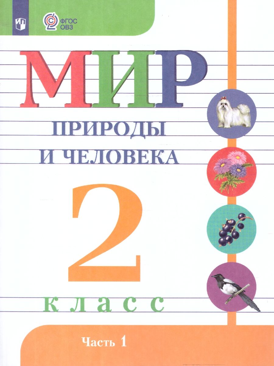 Мир природы и человека 2 класс. Для обучающихся с интеллектуальными нарушениями. Часть 1