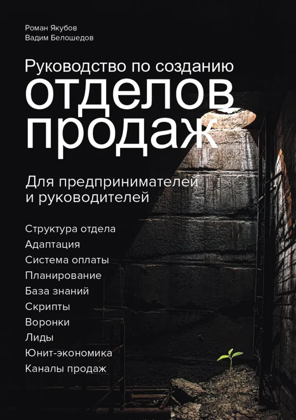 Руководство по созданию отделов продаж. Для предпринимателей и руководителей