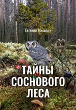 Тайны соснового леса