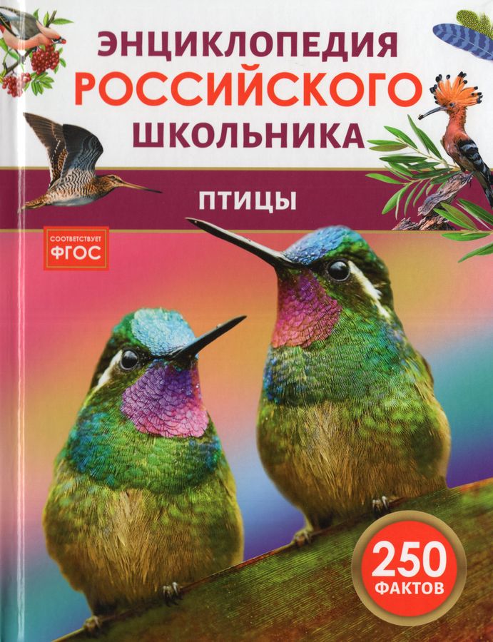 Птицы