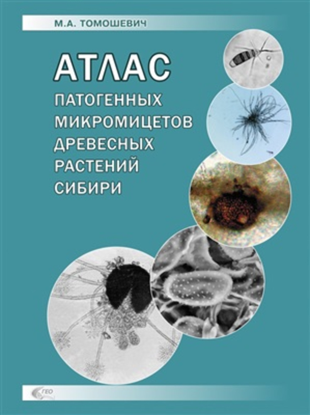 Атлас патогенных микромицетов древесных растений Сибири