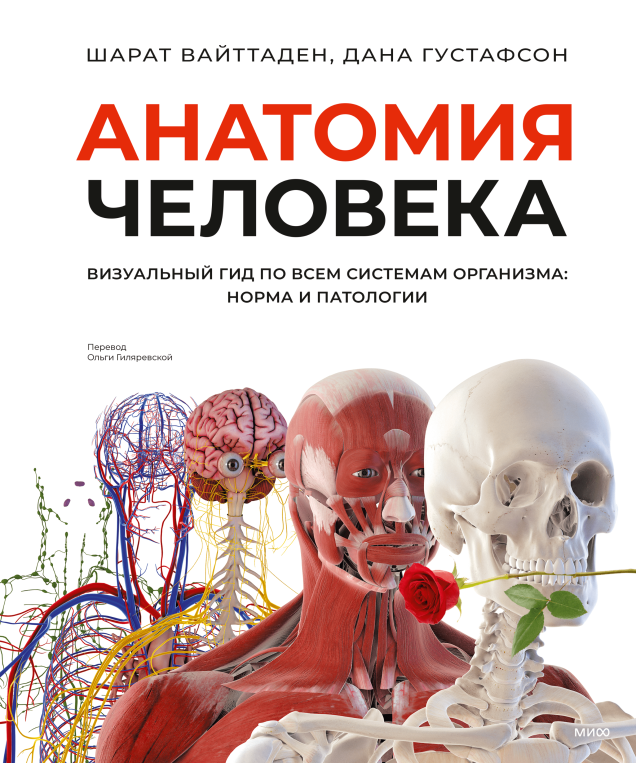 Анатомия человека