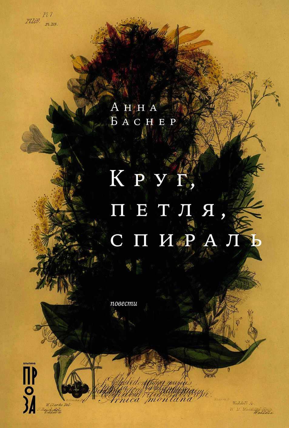 Круг,петля,спираль