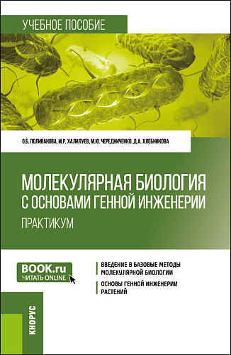 Молекулярная биология с основами генной инженерии. Практикум. (Бакалавриат). Учебное пособие