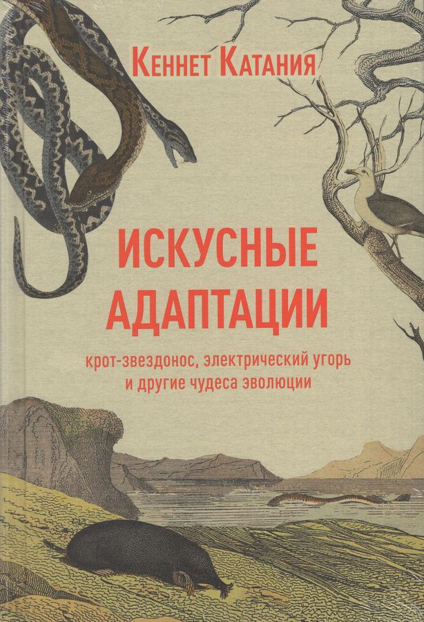Искусные адаптации. Крот-звездонос, электрический угорь и другие чудеса эволюции