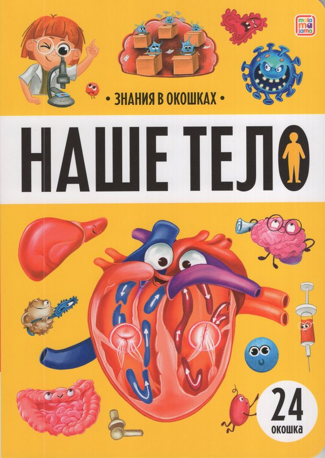 Наше тело