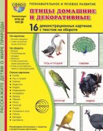 Дем. картинки СУПЕР Птицы домашние и декоративные. 16 демонстрационных картинок с текстом В ПАПКЕ (173х220 мм)
