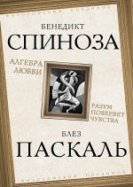 Алгебра любви. Разум поверяет чувства