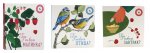 Где твоя малинка?; Где твоя птица?; Где твой завтрак? (комплект из 3-х книг)