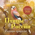 Птицы России. Родная природа. Календарь настенный на 2026 год (300х300 мм)