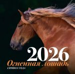 Символ года "Огненная лошадь". Настенный календарь на 2026 год