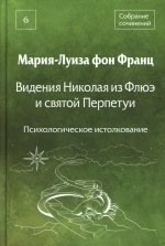 Видения Николая из Флюэ и святой Перпетуи: психологическое истолкование. Т. 6
