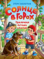 СОЛНЦЕ В ГОРОХ. Приключения Антошки и Костика, глянц.ламин 172х220