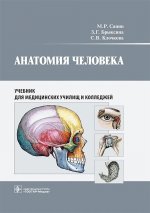 Анатомия человека : учебник для медицинских училищ и колледжей / М. Р. Сапин, З. Г. Брыксина, С. В. Клочкова. — Москва : ГЭОТАР-Медиа, 2025. – 432 с. : ил