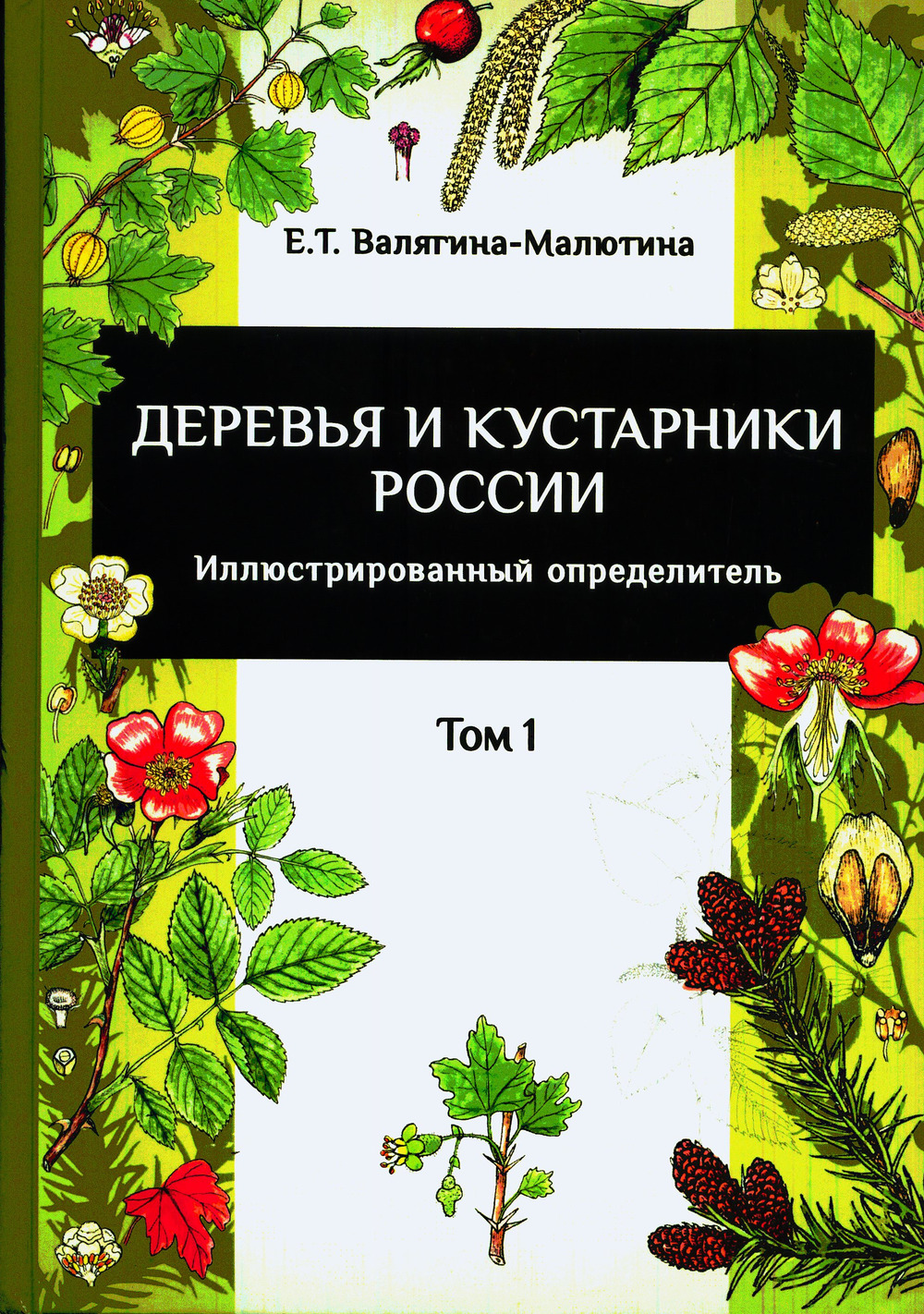 Деревья и кустарники России. Иллюстрированный определитель. Т.1, 2