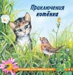 Приключения котенка