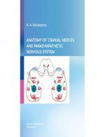 Анатомия черепных нервов и парасимпатической части вегетативной нервной системы (на английском языке)