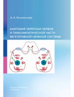 Анатомия черепных нервов и парасимпатической части вегетативной нервной системы (на русском языке)
