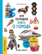 Моя большая книга о городе