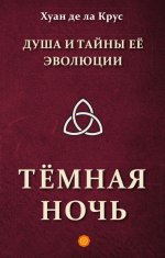Душа и тайны её эволюции. Тёмная ночь