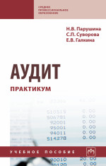 Аудит: практикум