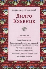 Собрание сочинений. Т. 3: Завет Зурчунгпы. Удивительный океан наставлений по практике в уединенном ретрите…