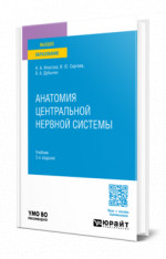 Анатомия центральной нервной системы