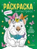 Вомбаты: книжка-раскраска