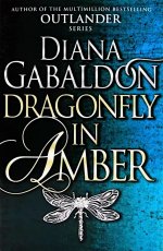 Dragonfly In Amber