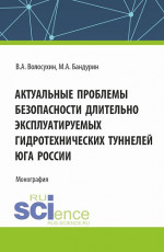 Актуальные проблемы безопасности длительно эксплуатируемых гидротехнических туннелей юга России. (Аспирантура, Бакалавриат, Магистратура). Монография