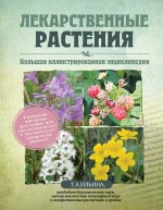 Лекарственные растения. Большая иллюстрированная энциклопедия