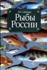 Рыбы России. Жизнь и ловля уженье наших пресноводных рыб