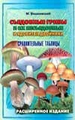 Съедобные грибы и их несъедобные и ядовитые двойники. Сравнительные таблицы