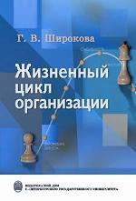 Жизненный цикл организации: концепции и российская практика: учебное пособие. 2-е издание