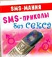 SMS-приколы без секса (миниатюрное издание)