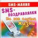SMS-поздравлялки на все случаи жизни (миниатюрное издание)