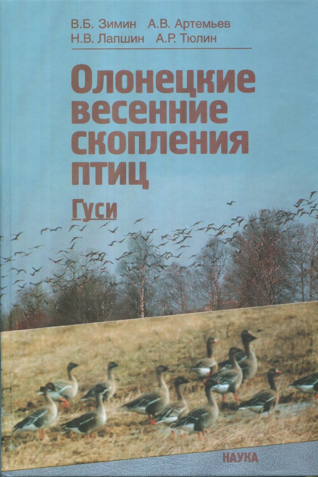 Олонецкие весенние скопления птиц: общая характеристика: гуси