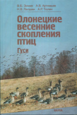 Олонецкие весенние скопления птиц: общая характеристика: гуси