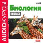 Аудиокурсы. Биология. 10 класс (mp3-CD) (Jewel)