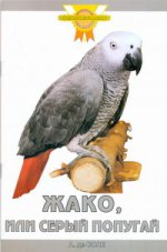Жако, или серый попугай