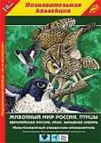 1С:Познавательная коллекция. Животный мир России. Птицы. Европейская Россия, Урал, Западная Сибирь