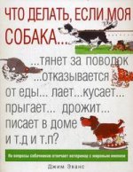 Что делать, если моя собака