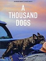 A Thousand Dogs / 1000 Hunde / 1000 Chiens