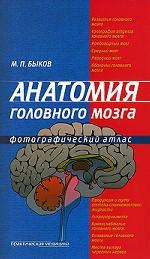 Анатомия головного мозга. Фотографический атлас