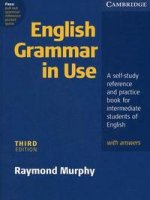 English Grammar in use. 3-rd edition